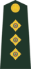 1.1- Hiéarchie (Humaine et Hérétique) Army-c10